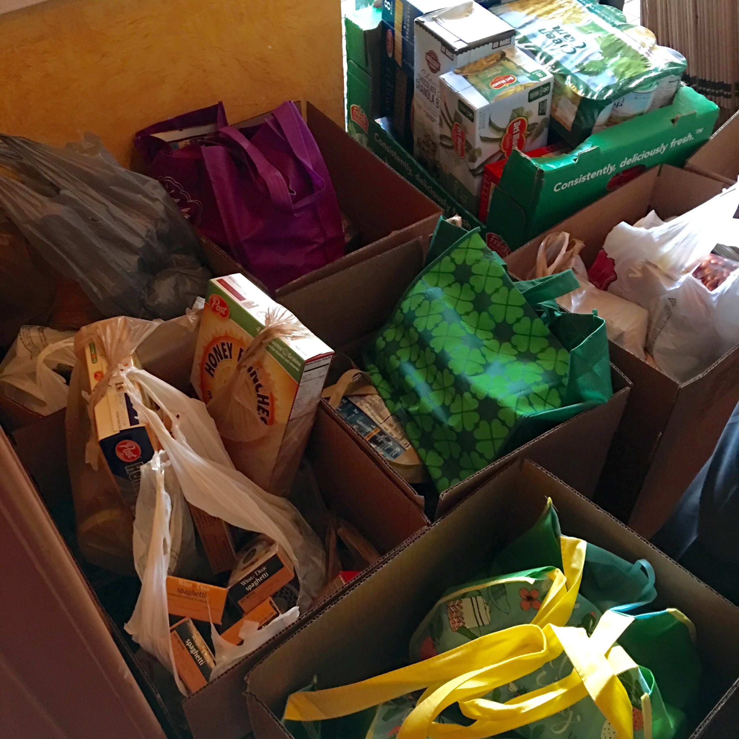 feed the cape food donations