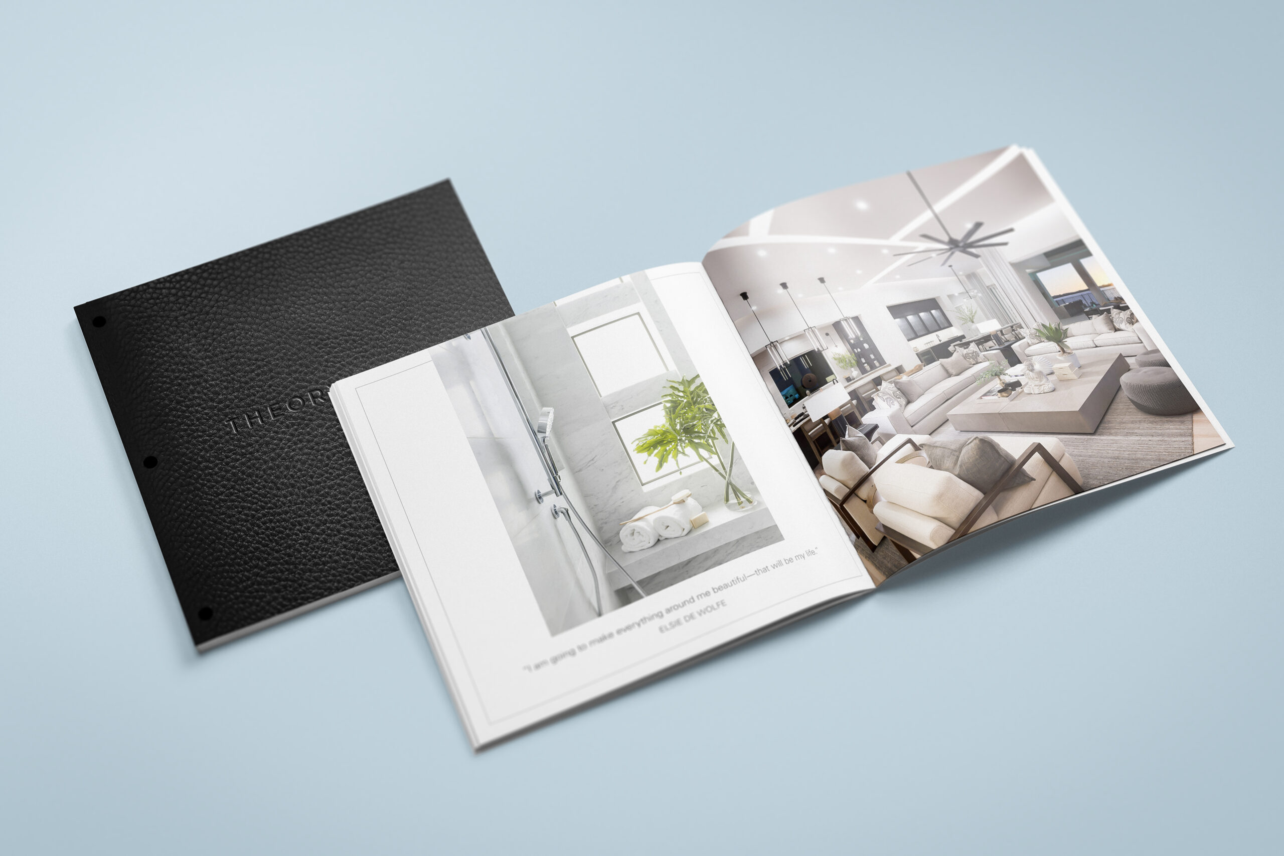 Seagate Development Group – Theory Design Brochure